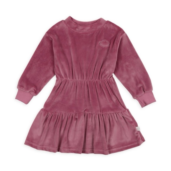 NWT POUF Girl's Velour Long-sleeve Dress, Mauve - Picture 1 of 6
